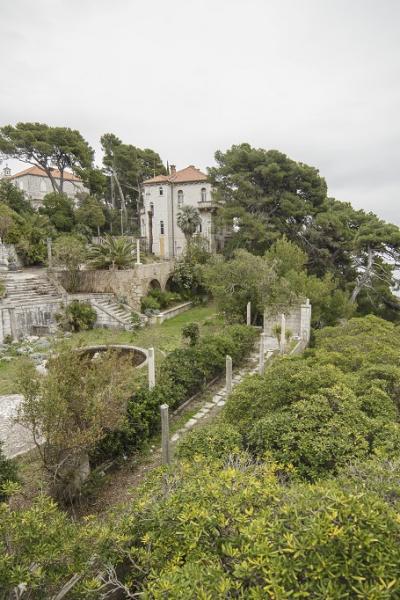 Cingrija 21022021 Vlevi 9816 Large