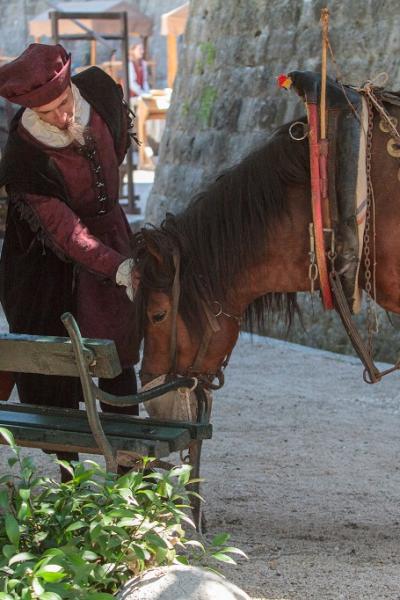 Dbkrep Hrt 1145 Large